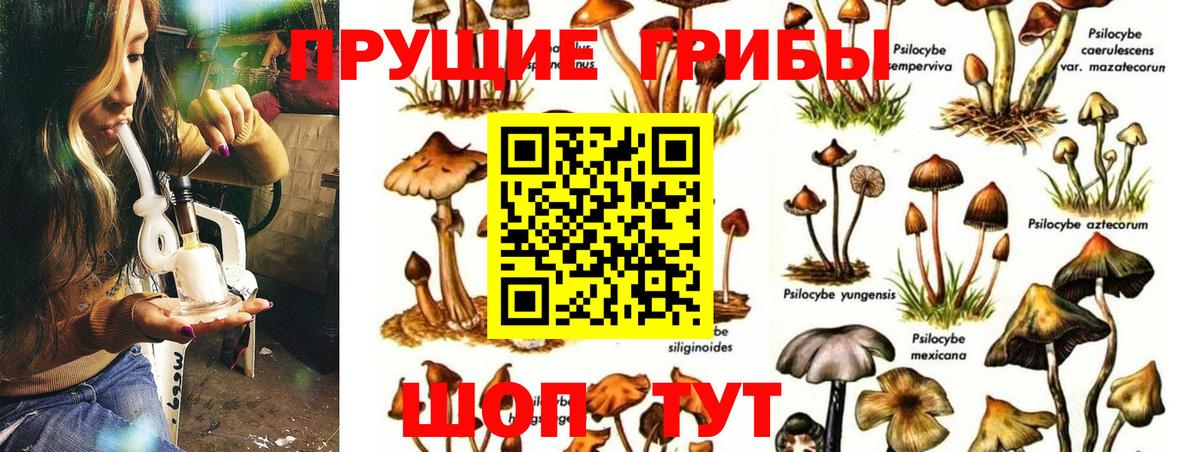 Галлюциногенные грибы MAGIC MUSHROOMS Сосновоборск